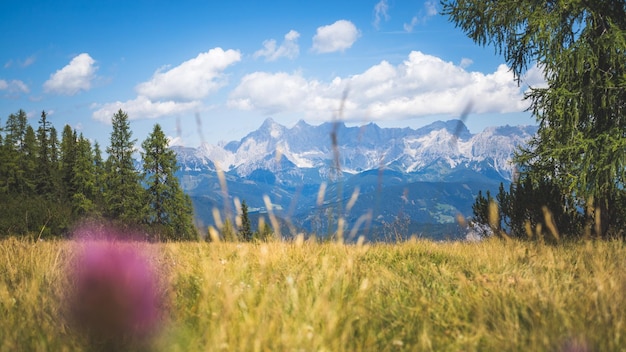 Paisagem montanhosa idílica nos Alpes Dachstein Áustria Belo cenário de montanhas de árvores de prado e céu azul