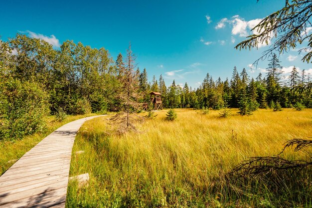 Paisagem montanhosa nas montanhas da Eslováquia Vale Juranova dolina no Parque Nacional de Tatras Ocidental oravice Região de Orava Trilha educacional através do pântano