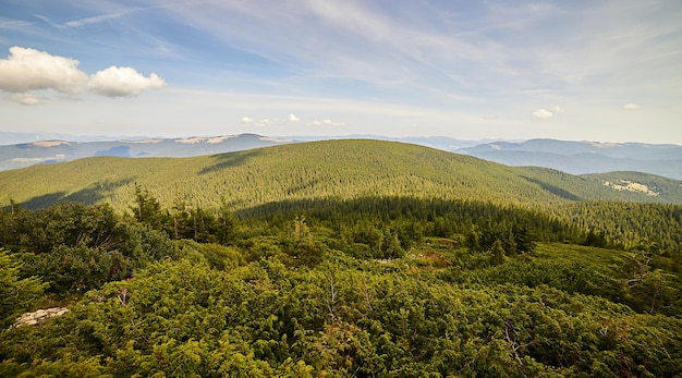 Paisagem montanhosa nos Cárpatos ucranianos no verão