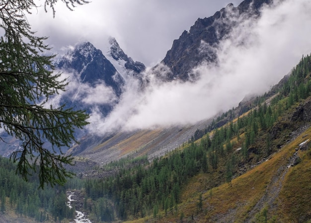 Paisagem montanhosa Rio de montanha na República de Altai