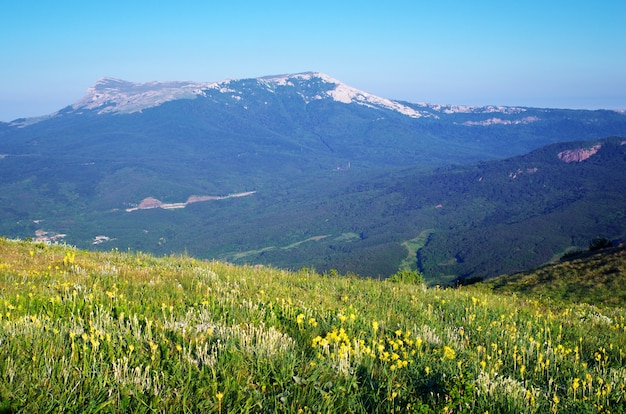 Paisagem montanhosa