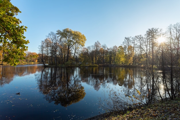 Paisagem multicolorida ensolarada de outono com lagoa do parque com patos.