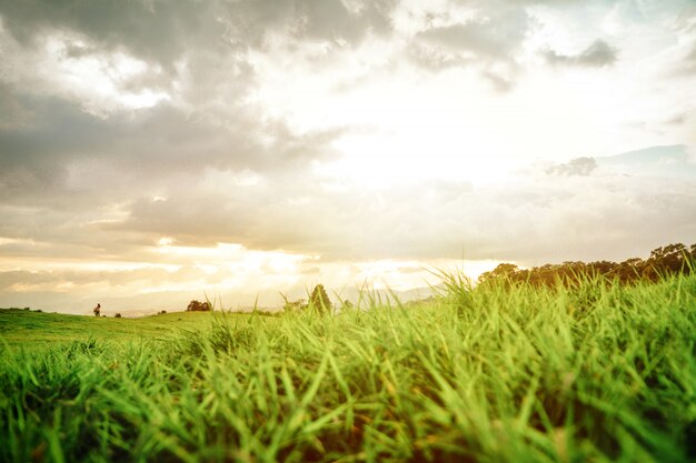 Paisagem na costa rica, sunset grass e um ser humano.