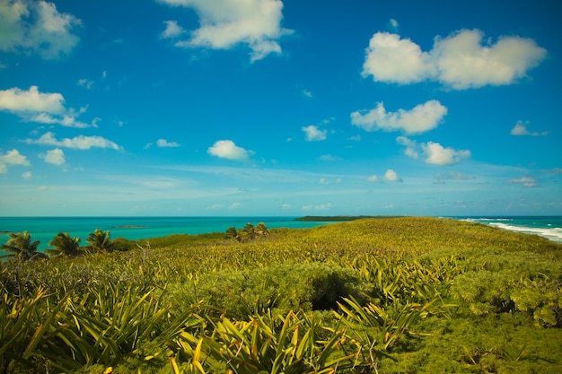 Paisagem na ilha de contoy