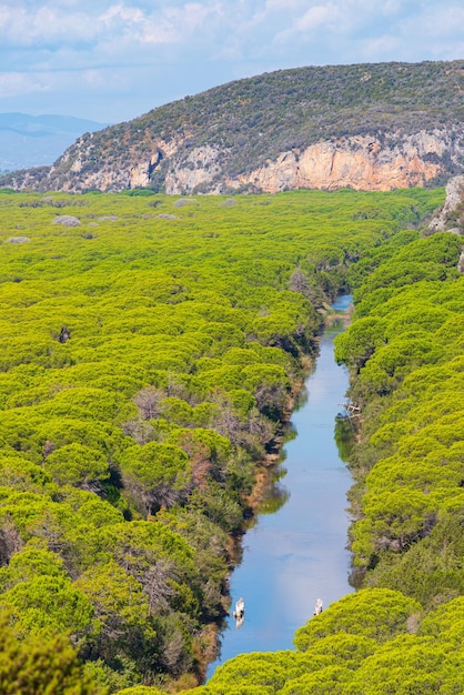 Paisagem na reserva natural de maremma toscana itália extensa floresta de pinheiros rio azul na floresta verde no parque natural costa dramática promontório rochoso