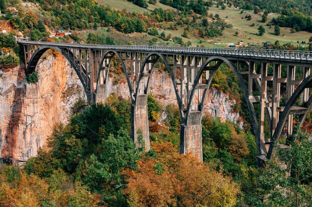 paisagem nas montanhas montanhas pela manhã vida selvagem paisagem montanhosa vida natural