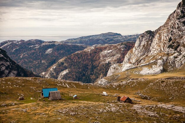 paisagem nas montanhas montanhas pela manhã vida selvagem paisagem montanhosa