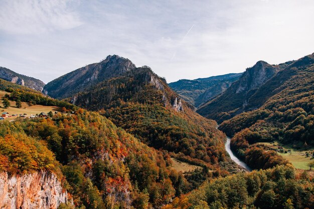 paisagem nas montanhas montanhas pela manhã vida selvagem paisagem montanhosa