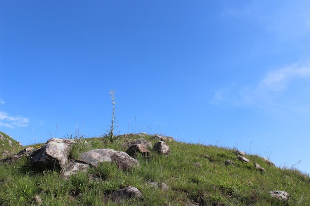 Paisagem nas montanhas