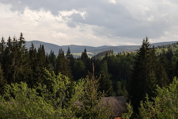 Paisagem nas montanhas