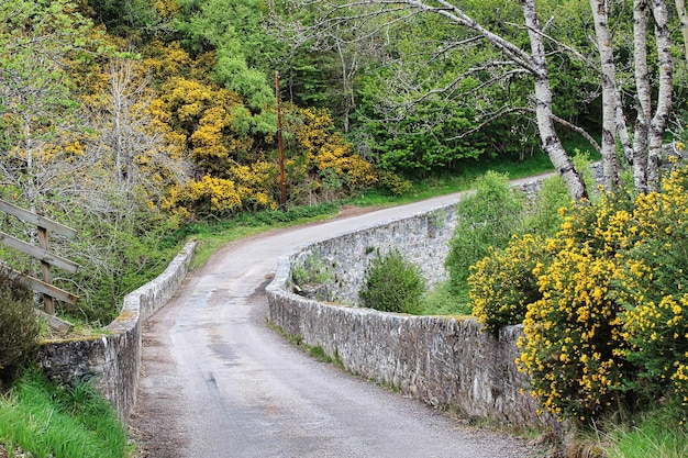 Paisagem nas terras altas escocesas com suas belas pontes e caminhos escócia reino unido