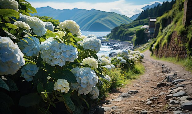 Paisagem natural arbustos de hortênsia ao longo de um caminho sinuoso foco suave seletivo