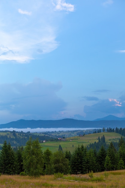 Paisagem natural de verão das montanhas Karpaty.