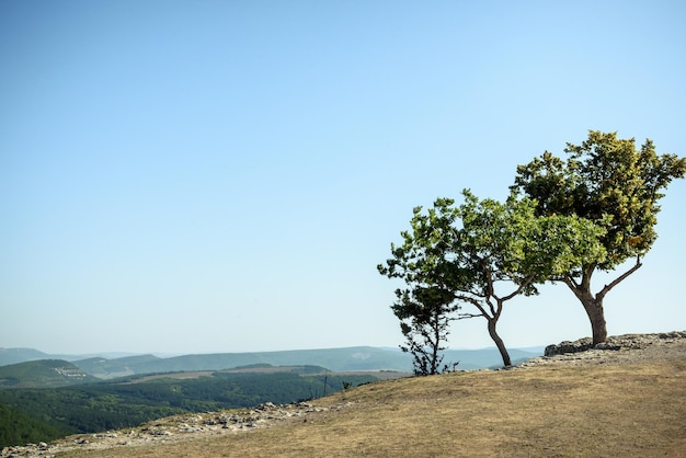 Paisagem natural de verão Vista das altas montanhas para baixo