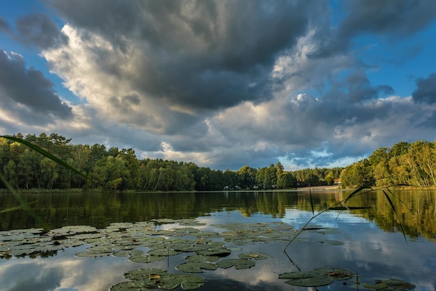 Foto paisagem natural do lago de alta definição o movimento das ondas no contexto do au