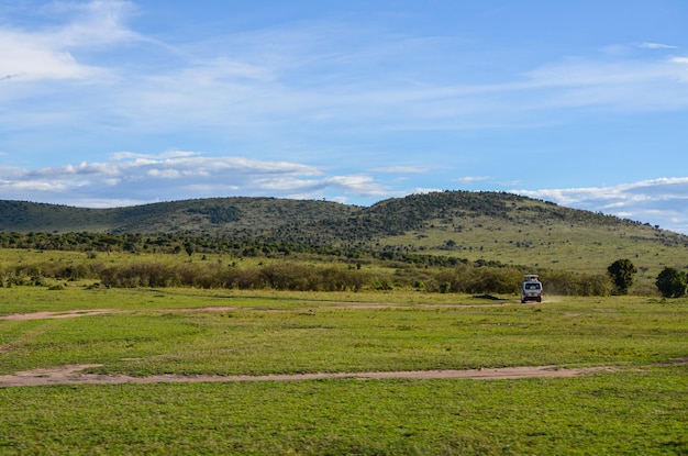 Paisagem natural do Quênia Parque Nacional Masai Mara Quênia África