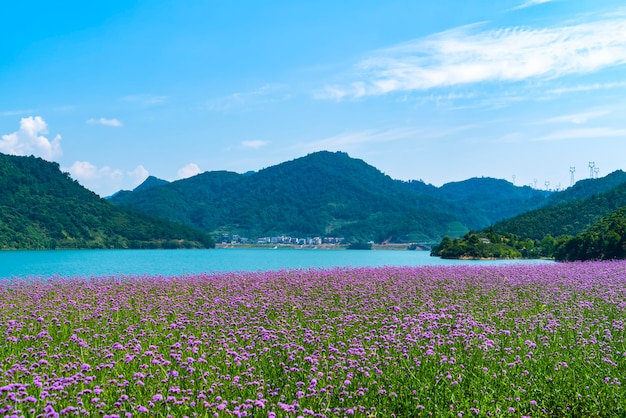 Paisagem Natural e Cenário Lago do Lago Qiandao em Hangzhou