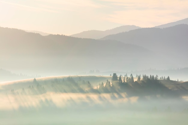 Paisagem nebulosa enevoada da manhã com floresta nas montanhas