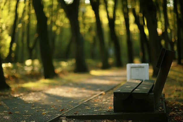 paisagem no banco do parque de outono/banco de jardim bonito, conceito de descanso, ninguém no parque de outono, fundo de paisagem, queda