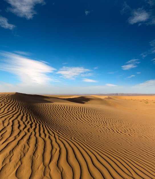 Paisagem no deserto à noite