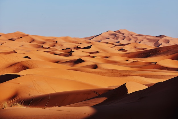 Paisagem no deserto do Saara