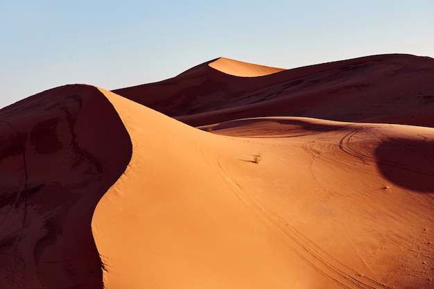 Paisagem no deserto do Saara