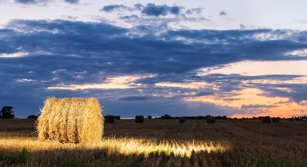 Paisagem noturna de palheiros no campo