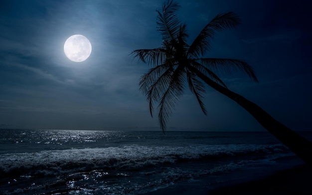 Foto paisagem noturna tropical na praia com lua cheia