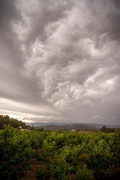 Foto paisagem nublada na montanha