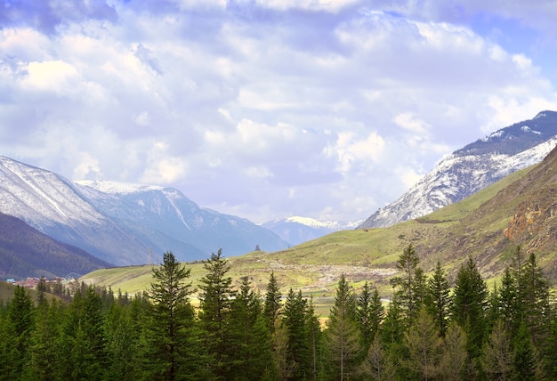 Paisagem nublada nas montanhas altai abetos altos e grama seca nas encostas