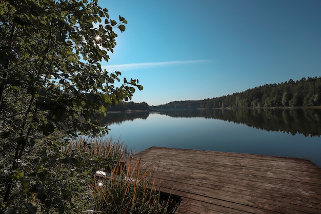 Paisagem pacífica de verão com árvore na floresta em primeiro plano no horizonte, lago, céu claro