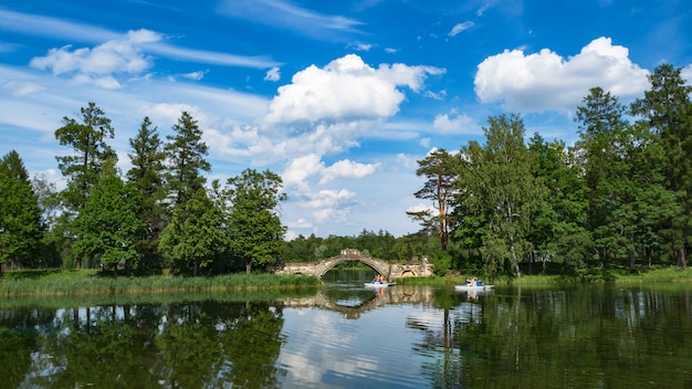 Paisagem panorâmica de verão no lago. Incrível paisagem do lago de verão. Lago maravilhoso com reflexo das árvores. Nuvens brancas em um céu azul.