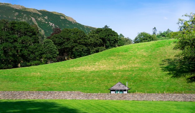 Paisagem panorâmica do campo de grama na colina com árvores da floresta verde e céu azul claro