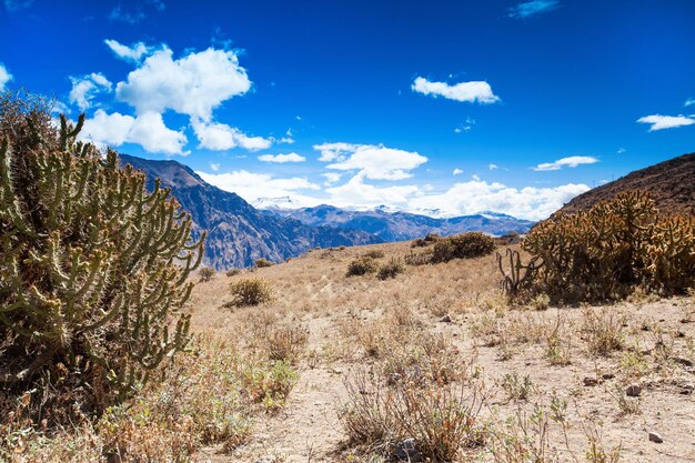 Paisagem Peru