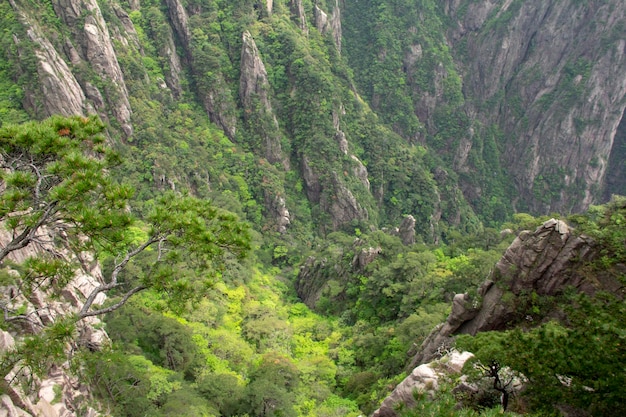 Paisagem pitoresca das montanhas amarelas de huangshan uma cordilheira no sul da província de anhui, no leste da china é um patrimônio mundial da unesco