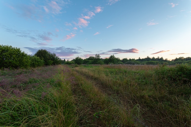 Paisagem pitoresca do campo à noite com pequena meia-lua no verão.