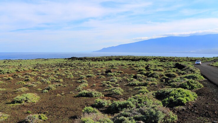 Foto paisagem plana com arbustos em el hierro, ilhas canárias