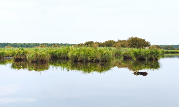 Paisagem plana de briere marsh frança