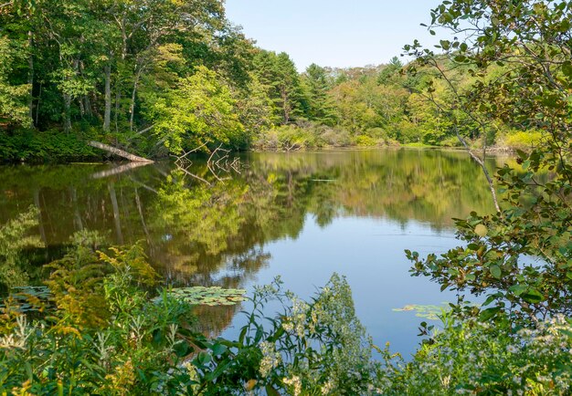 Foto paisagem ribeirinha em torno de yarmouth