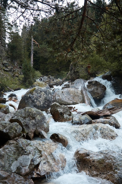 Paisagem, rio e cachoeira da montanha, água tempestuosa batendo nas rochas, floresta e natureza nas montanhas