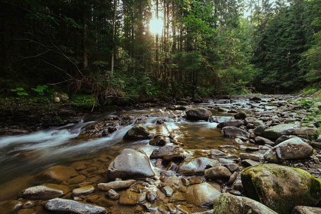 paisagem rio fluxo nas montanhas bela natureza