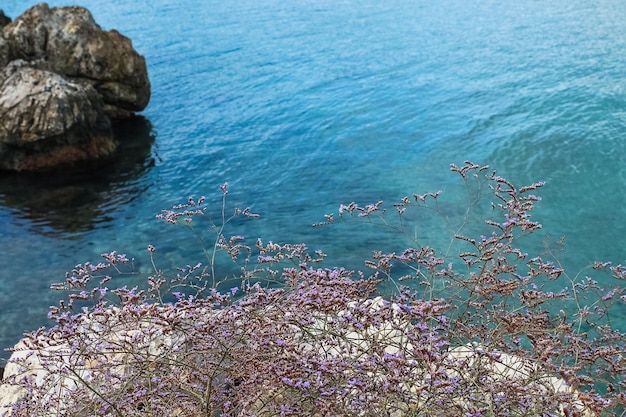 paisagem rochosa do mar Egeu em Bodrum