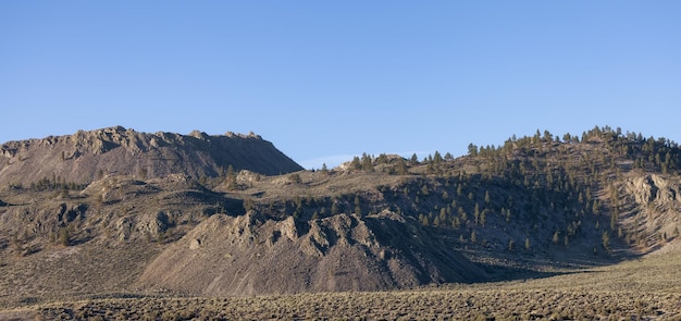 Paisagem rochosa seca da montanha do deserto com árvores