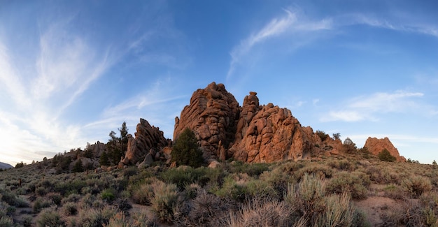 Paisagem rochosa seca da montanha do deserto com árvores