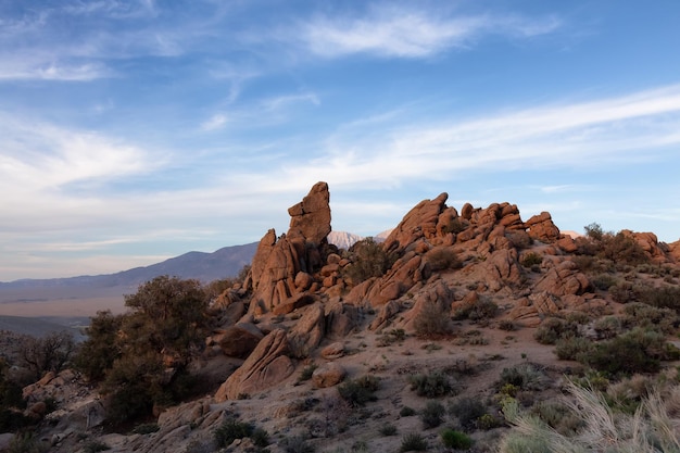 Paisagem rochosa seca da montanha do deserto com céu ensolarado das árvores