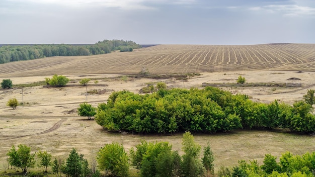 Foto paisagem rural com campo de restolho. rússia, região de orenburg, fazenda arapovka