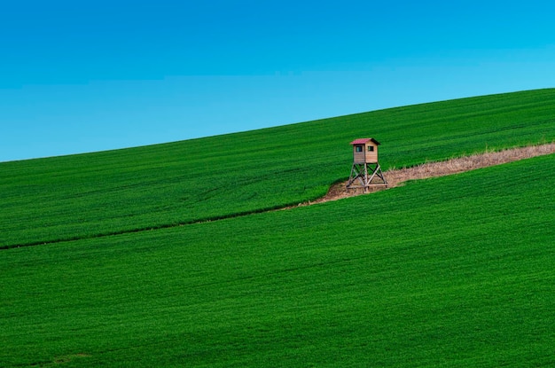 Paisagem rural com céu azul de campo verde e cabana de caça de madeira Morávia do Sul República Checa