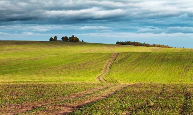 Paisagem rural com céu sombrio sobre a estrada rural Região de Moscou Rússia