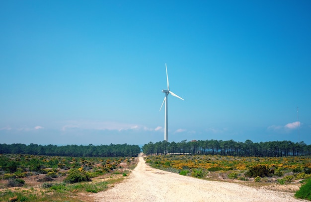 Paisagem rural com estrada de terra no campo turbina eólica no horizonte