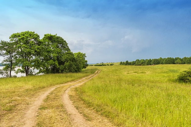 Paisagem rural, com, estrada rural